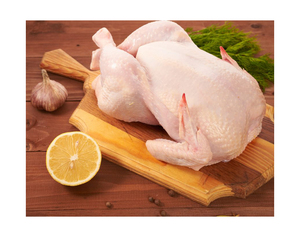 Nouveau design Pilons de poulet carpe congelés coupe-fruits magasin d'alimentation à vendre - Product Image 3