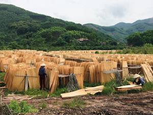 ราคาต่ำที่มีคุณภาพสูงเวียดนามแกนกามโรคสำหรับไม้อัด - Product Image 4