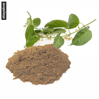 Poudre d'herbe de Gymnema Sylvestre (Gurmar) pure et naturelle de qualité supérieure, extraite par solvant, en vente en gros au meilleur prix du marché