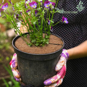 Pas cher 11.8 pouces fibres naturelles de cocotier paillis anneau arbre protecteur tapis arbre anneau tapis disque plante couverture pour intérieur ou extérieur - Product Image 5