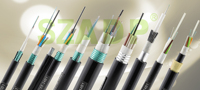 Cable de Fibra Óptica Autoportante Totalmente Dieléctrico ADSS G652D con Cubierta de PE para Líneas Aéreas de Transmisión de Energía y Telecomunicaciones