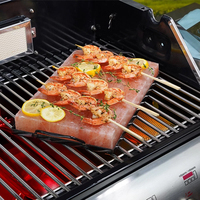 Briques de sel rose de l'Himalaya de qualité supérieure et dalles de barbecue en vrac pour la cuisine et l'utilisation décorative Carreaux sculptés pour la cuisine