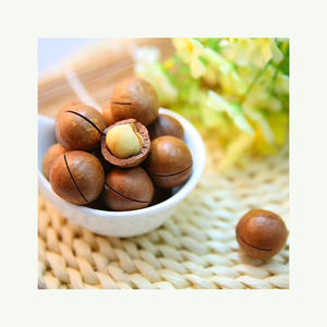 Nueces de Macadamia tostadas o crudas comprar en línea bocadillos saludables nueces a granel para la venta entrega fresca - Product Image 6