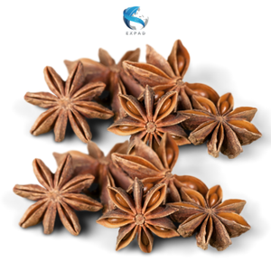 SAISON d'anis étoilé séché printemps et automne exportation brute d'EXPAD avec procédé de séchage AD cassé STAR ILLICIUM VERUM - Product Image 1