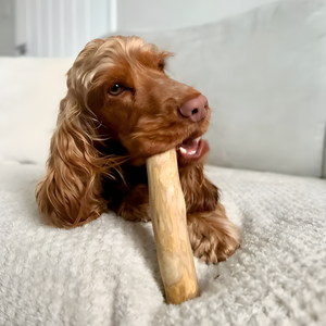 Masticables de Madera de Café Ecológicos y Asequibles para Perros - Product Image 6