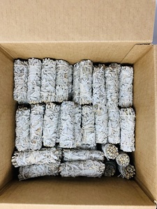 Bholi Sage Plus Qualité supérieure Qualité supérieure Vente à chaud Sauge blanche de Californie 4 pouces - Product Image 3