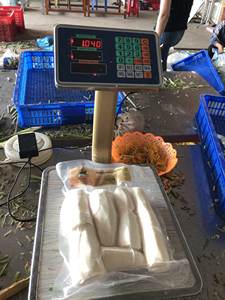 Mandioca de corte fresco - Product Image 3