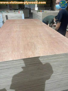 Gabinetes y Armarios Bintangor de Vietnam, Muebles de Interior para Hoteles, Núcleo de Eucalipto/Acácia de 15 mm, 16 mm, 18 mm, Grado de Primera Clase - Product Image 2