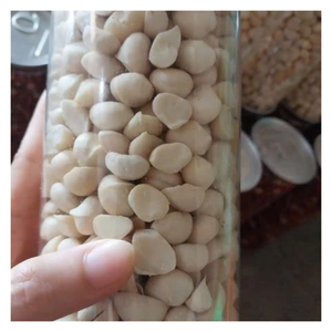 Noix de Macca séchées à haute teneur en protéines 100% Macca naturel Noix de Macca du Vietnam Huile riche de qualité sélectionnée Emballage d'exportation directe pour la distribution - Product Image 6