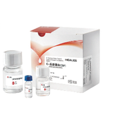 Analyseur de protéines cliniques vétérinaires spécifique POCT Analyseur d'HbA1c pour animaux Kit de test SAA CRP Cys-C Écran tactile LCD 5,6 pouces 20-120