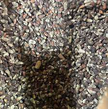 Graines de coton biologique de qualité supérieure à vendre - Product Image 4