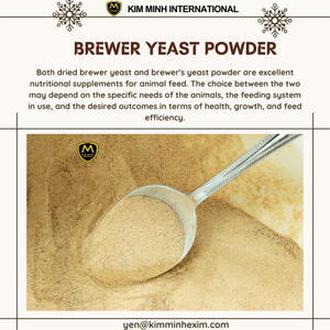 Meilleur prix de poudre de levure de bière séchée dérivée du Vietnam pour les additifs alimentaires - Product Image 5