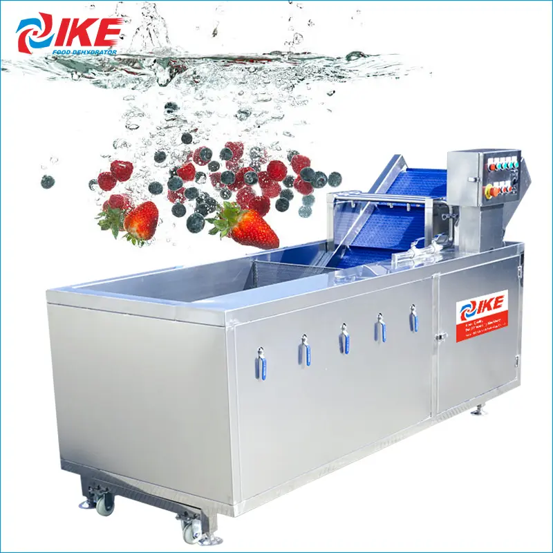 Strawberry Blackberry Blueberry Berry industrial fruit and vegetable washing machine