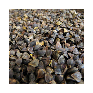 Graines de sarrasin décortiquées séchées en vrac pour la vente en gros - Product Image 2