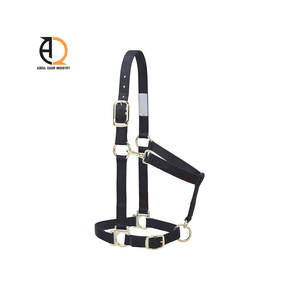 Licol en cuir de selle pour cheval avec boucle en laiton et accessoire en nylon pour cheval - Product Image 1