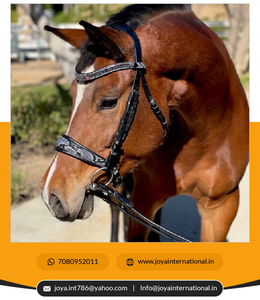 Meilleure Qualité Bon Prix Édition Limitée Medusa Snaffle Bridle No Flash Édition Limitée Bride Réduction de Poids Portable - Product Image 5