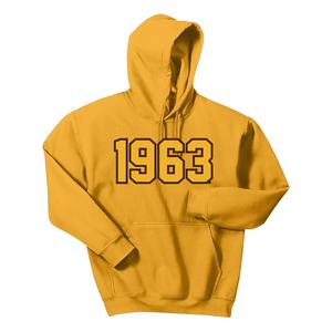 Sudadera con Capucha Personalizada Bordada de la Hermandad Universitaria Iota Phi Theta, Estilo Urbano, con Letras Griegas de la Hermandad - Product Image 3