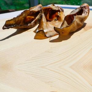 Ganado natural al por mayor y OEM para masticar perros orejas de vaca cuellos rodilleras y látigos Premium todos los premios naturales para perros - Product Image 2