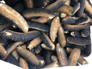 <span class=keywords><strong>Sri</strong></span> <span class=keywords><strong>Lanka</strong></span> Tự Nhiên Mặt Trời Khô Dưa Chuột Biển 100Kg Số Lượng Lớn Gói Chất Lượng Cao Cấp Màu Trắng Và Màu Đen Teat Giống Hoang Dã-Bắt - Product Image 4