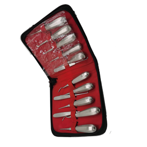 Kit de Instrumentos Quirúrgicos Dentales, Elevador de Raíces, Juego de 13 Piezas, Manual, Certificado CE, Instrumentos Quirúrgicos Dentales - Product Image 3