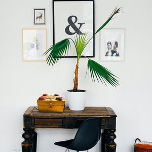 앤티크 손 조각 디자인 화이트 여성용 보석 상자 결혼 기념일 인도의 우아한 보석 주최자 - Product Image 4