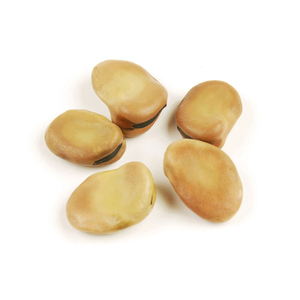 Fava <b>Beans</b> (Broad <b>Beans</b>) Dried Top Grade Bulk 10kg at Price - Product Image 1