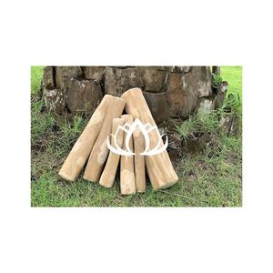 Producto para mascotas de alta calidad de Vietnam: palos para masticar de madera de café de última hora para el cuidado dental, relajarse, jugar-BLUE LOTUS - Product Image 1