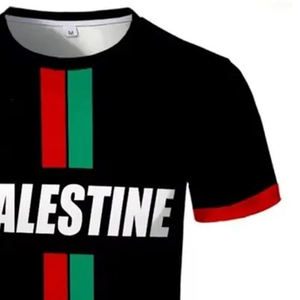 Camiseta de Fútbol Personalizada de Palestina 2025-26, Uniforme de Equipo de Primera Calidad, Sublimación en Malla, por Ako - Product Image 2