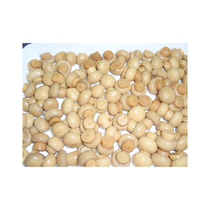 Meilleur champignon bouton entier en conserve en vrac au meilleur prix - Product Image 3