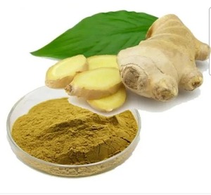 ผงขิงสกัดจากสมุนไพรที่ปลูกในป่าช่วยย่อยอาหารสร้างภูมิคุ้มกันและเสริมพลังงานเหมาะอย่างยิ่งสำหรับชาสมูทตี้และสุขภาพในชีวิตประจำวัน - Product Image 2