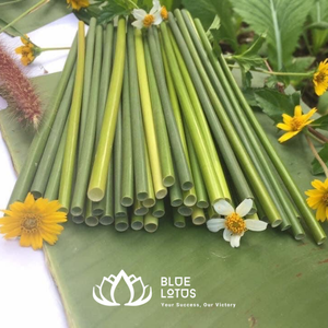 ฟางหญ้าสีเขียวจากเวียดนาม - Product Image 6