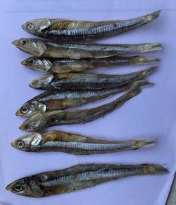 ปลากะตักแห้งเวียดนามคุณภาพพรีเมี่ยมในราคาชั้นนำของตลาด - Product Image 6