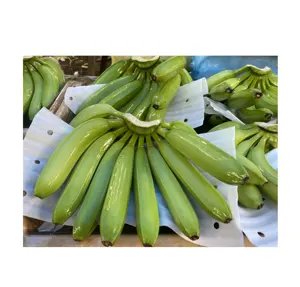 越南绿色卡文迪许出口/散装新鲜卡文迪许香蕉/优质新鲜水果农业
