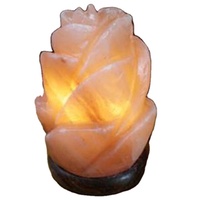 Lampu Garam Kristal Himalaya Terlaris, Ukiran Gaya Cinta, Bentuk Alami yang Tahan Lama