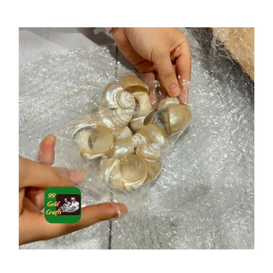 Servilletero de concha marina natural hecho a mano en Vietnam decoración de mesa para banquete fiesta boda hogar comedor uso - Product Image 4