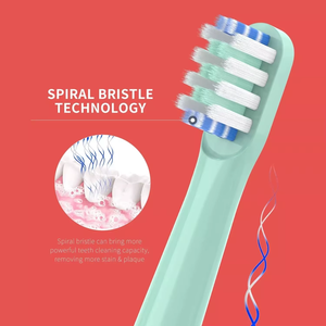 Cabezales de Repuesto Universales para Cepillos de Dientes Eléctricos para Uso Doméstico, Hotelero y al Aire Libre - Product Image 5
