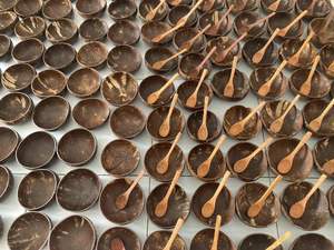 Bol à coquille de noix de coco, assiette de vaisselle à dessert, bol à coquille de noix de coco fait à la main, tendance 2022 - Product Image 4