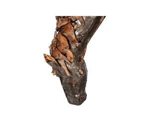 L'objet de table de sculpture artistique vintage de cheval ajoute le charme classique et le style élégant aux intérieurs modernes ou traditionnels - Product Image 2