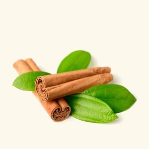 Aceite Esencial 100% Puro de Hoja de Canela, Naranja Dulce, Franquincienso, Mirra, Pomelo, Geranio, Sándalo, Vetiver, Hinojo, Pino, Ylang - Product Image 2