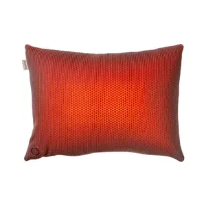 Anjuny Custom Luxury Decorative Waterproof Indoor Outdoor Feather Printed Cushion Inserts Throw Pillow