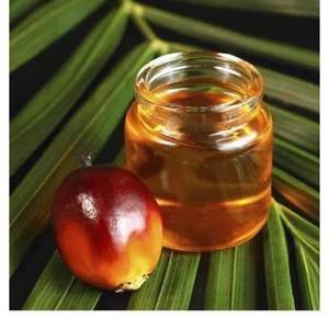 Olein de palme raffiné 100% pur, biologique et naturel, produit de nouvelle récolte - Product Image 2