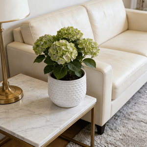 Pots à fleurs en céramique émaillée Mdj, ensemble de 3 pièces, design moderne rond, jardinières d'intérieur et d'extérieur, blanc avec trous de drainage - Product Image 3