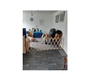 Sustainable Modern Quality Pet Partition Hand Painted Wood Quality Wood Pet Room <b>Divider</b> Trending Pet <b>Screen</b> Room <b>Dividers</b> - Product Image 1