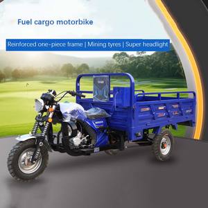 Export Quality 250CC Motor <b>Tricycle</b> Three-Wheel Motorized Cargo <b>Motorcycle</b> for Farm and construction delivery 3-wheel Cargo moto - Product Image 4