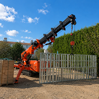 Grue araignée Tonlita électrique diesel 3t 3 tonnes télécommandée, conforme aux normes EPA CE Euro 5, mini-grue araignée sur chenilles