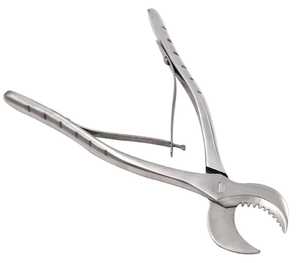 กรรไกรตัดปูนปลาสเตอร์สำหรับงานทันตกรรม 8 นิ้ว 20 ซม. กรรไกรตัดยิปซั่ม สแตนเลส 2026 - Product Image 3