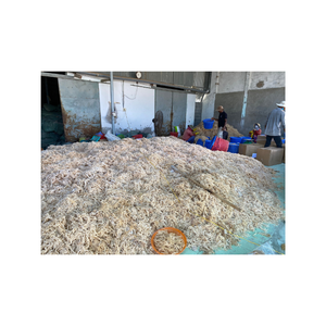 Premium Quality Organic Wakame Stem Frozen Shredded <b>Seaweed</b> for Salad Bowls and Prepared Meal Producers - Product Image 5