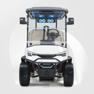 Carrito de Golf Estilo Urbano con Paquete de Litio de 48V |   Velocidad Máxima de 32 km/h y Alcance de 60 km para Uso Residencial - Product Image 3