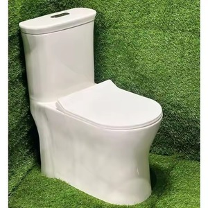 Toilette monobloc en céramique à lavage abordable de haute qualité avec housse de siège de l'Inde - Product Image 6