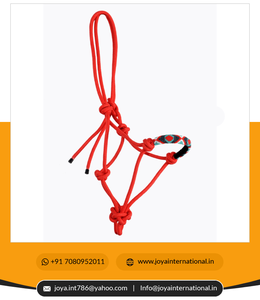 Cabestro de Nailon para Caballo, Banda Nasal Trenzada con Cuentas Multicolores RH00106/107/108/109/110 - Product Image 2